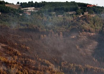 Τουλάχιστον 180% πάνω από τον μέσο όρο της περιόδου 2008-2020 οι φετινές καμένες εκτάσεις