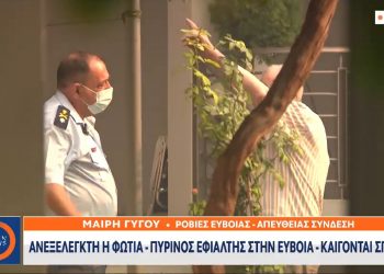 Φωτιά Ροβιές: Μίλησε ζωντανά με τη γιαγιά της για να την πείσει να εκκενώσει το σπίτι (VIDEO)