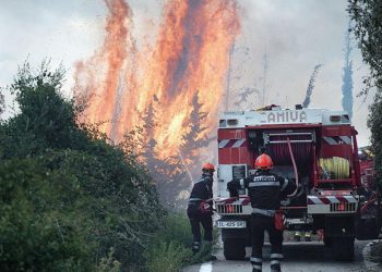 Σε επιφυλακή οι πυροσβεστικές δυνάμεις στη Γορτυνία – Η βροχή έσβησε εστίες φωτιάς στην Ηλεία