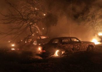 Λέκκας για Βαρυμπόμπη: Κάηκαν περίπου 30.000 στρέμματα-Τα αίτια της φωτιάς