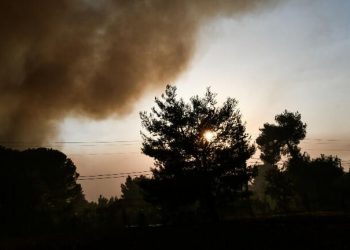 Τζανάκης για πυρκαγιές: "Ευτυχώς έχουμε τη μάσκα"