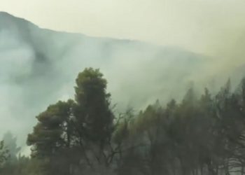 Aποζημιώσεις: Οι 4 κατηγορίες πυροπλήκτων, ποιοι και τι δικαιούνται