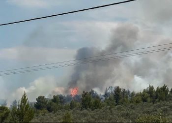 Εκκενώνεται ο Θεολόγος Μαλεσίνας στο νομό Φθιώτιδας λόγω της φωτιάς