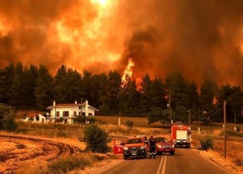 Ατελείωτος ο εφιάλτης στην Εύβοια – Πολλά τα μέτωπα, συνεχείς οι αναζοπυρώσεις (VIDEO)