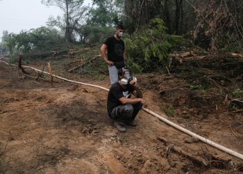 Ενεργοποιήθηκε η γραμμή 1110 για την παροχή ψυχολογικής υποστήριξης στους πυρόπληκτους