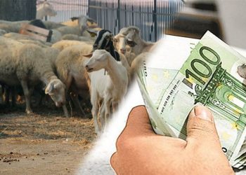 ΕΝΦΙΑ: Ως και 30% η μείωση φόρου για τους αγρότες – Ολες οι ευνοϊκές ρυθμίσεις