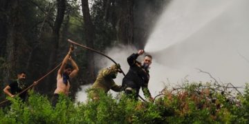 Φωτιές – Στις 17:00 η ανακοίνωση των μέτρων στήριξης στους πυρόπληκτους