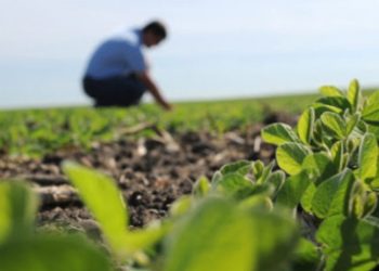 ayksisi-xilia-eurw-agrotes-ardeusi