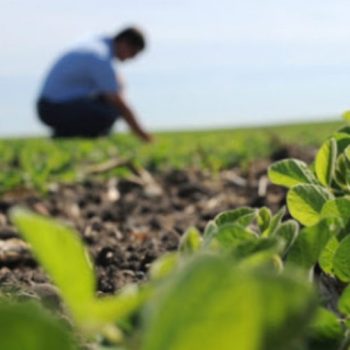 ayksisi-xilia-eurw-agrotes-ardeusi