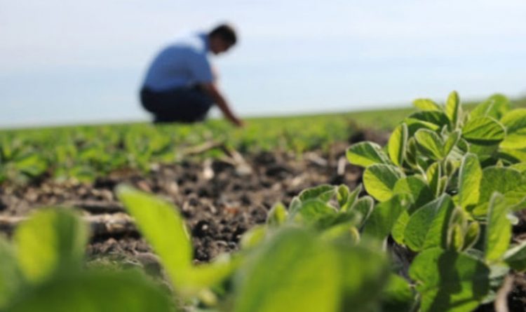 ayksisi-xilia-eurw-agrotes-ardeusi