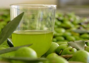 apodoseis-agoyrelaia-zimia