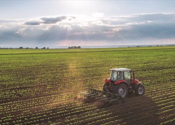 apotelesmata-oaed-agrotikos-tomeas