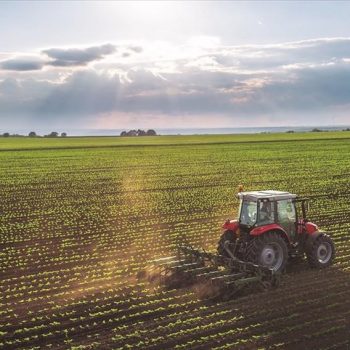 apotelesmata-oaed-agrotikos-tomeas