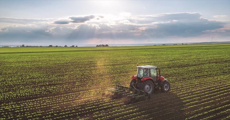 apotelesmata-oaed-agrotikos-tomeas