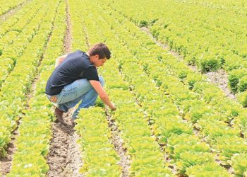 ypaat-prokiriksi-newn-gewrgwn