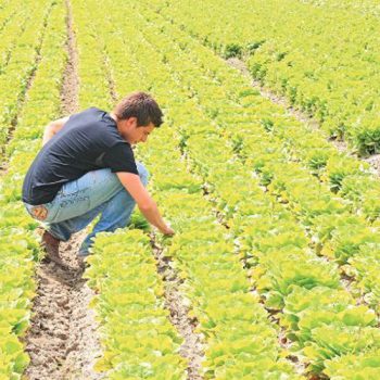 ypaat-prokiriksi-newn-gewrgwn