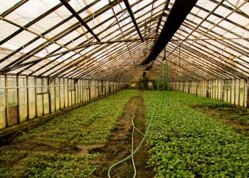 Ιδρύονται έξι ΔΙΕΚ από το Υπουργείο Αγροτικής Ανάπτυξης – Στη Μεσαρά ΔΙΕΚ για τεχνικούς θερμοκηπίων και καλλιεργειών