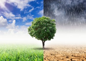 Καμπανάκι για την κλιματική αλλαγή στην Ευρώπη από την Ευρωπαϊκή Κεντρική Τράπεζα