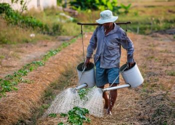 aithseis-sthrikshs-agrotes-kriti