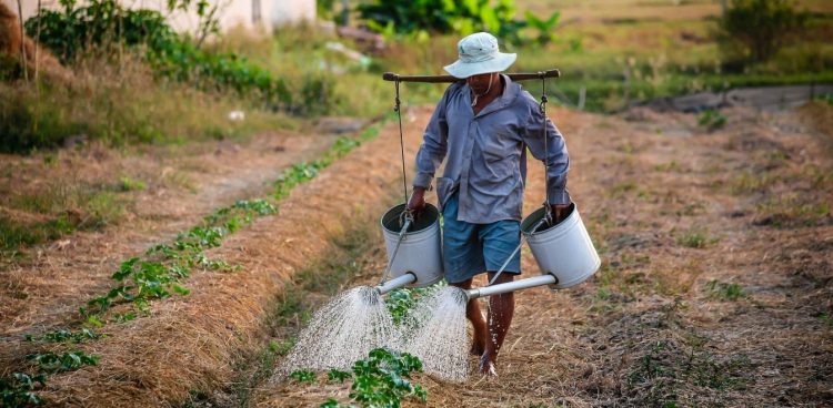 aithseis-sthrikshs-agrotes-kriti