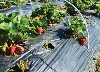 kaluteres-sinthikes-ergasias-hleia