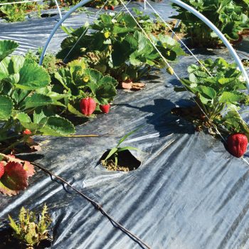 kaluteres-sinthikes-ergasias-hleia