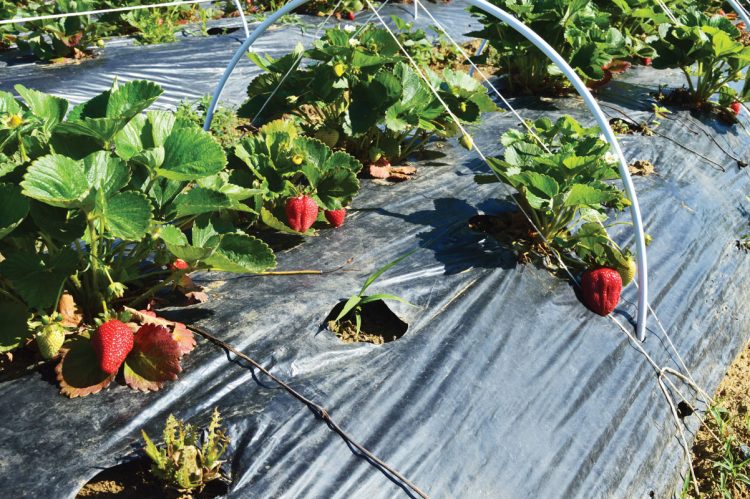 kaluteres-sinthikes-ergasias-hleia