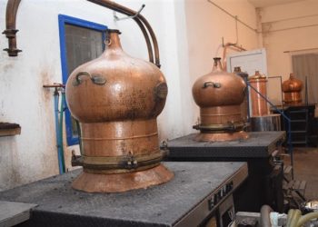 nomimi-diakinisi-tsipourou