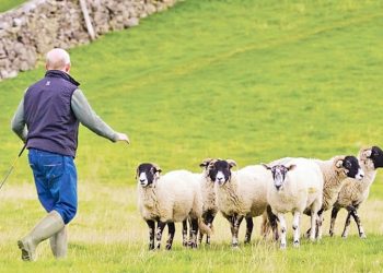 sunantisi-livanou-ktinotrofwn-agora