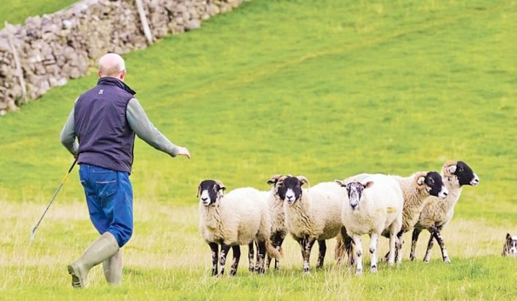 sunantisi-livanou-ktinotrofwn-agora