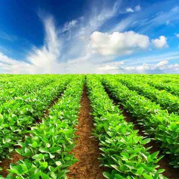 sxedia-kap-periballon-gewrgia