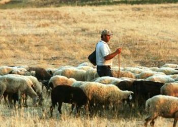 ypaat-epitroph-agora-zwotrofwn