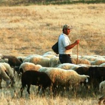 ypaat-epitroph-agora-zwotrofwn