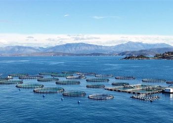 Έως 15/12 η υποβολή προτάσεων στο Επιχειρησιακό Πρόγραμμα Αλιεία και Θάλασσα 2014-2020