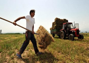 Σταϊκούρας – Επιστροφή Ειδικού Φόρου Κατανάλωσης σε 200.000 αγρότες