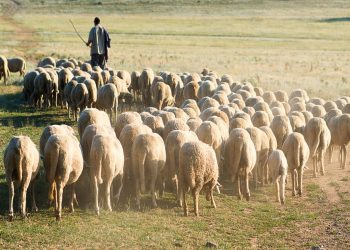 dusareskeia-krhth-gia-meiwmenes-plhrwmes