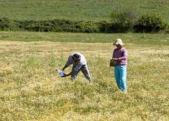 meizon-thema-plhrwmes-agrotwn