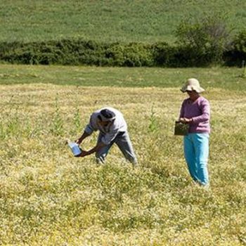 meizon-thema-plhrwmes-agrotwn