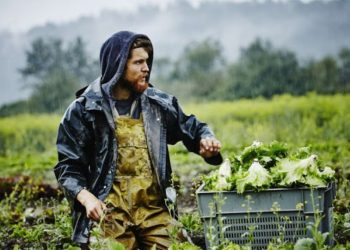 mesa-noembriou-prosklhsh-neoi-agrotes