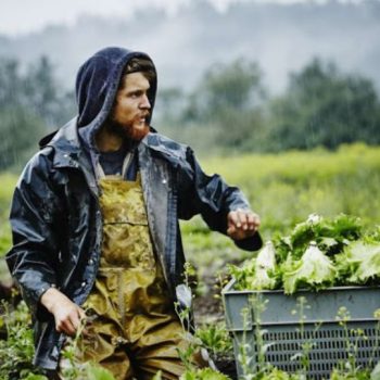 mesa-noembriou-prosklhsh-neoi-agrotes