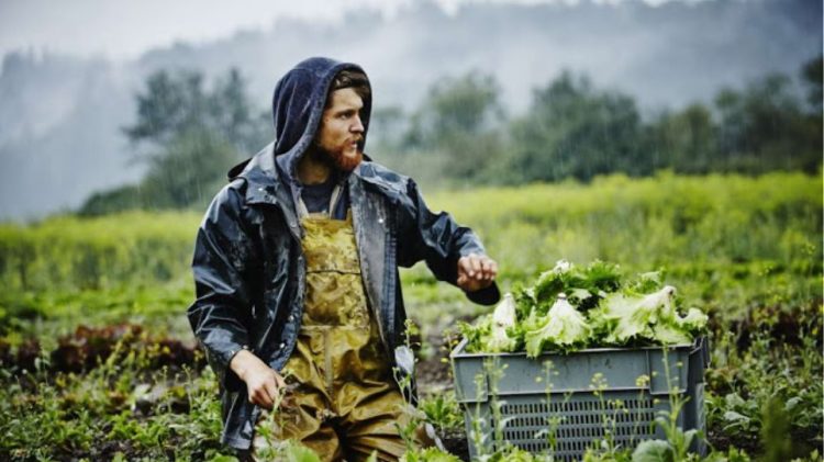 mesa-noembriou-prosklhsh-neoi-agrotes