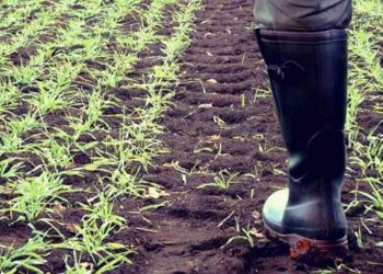 plhrwmes-ypaat-politikh-grammh-gia-diorthwseis