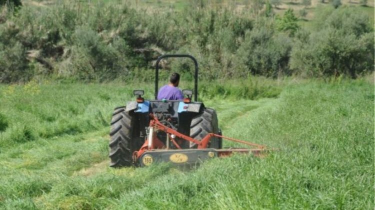 plhrwnei-apozhmiwseis-pagetoplhktwn-elga