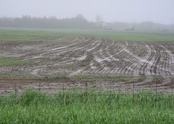 aithseis-paragwgwn-gia-apozhmiwseis