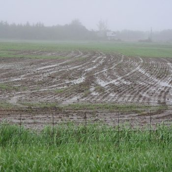 aithseis-paragwgwn-gia-apozhmiwseis