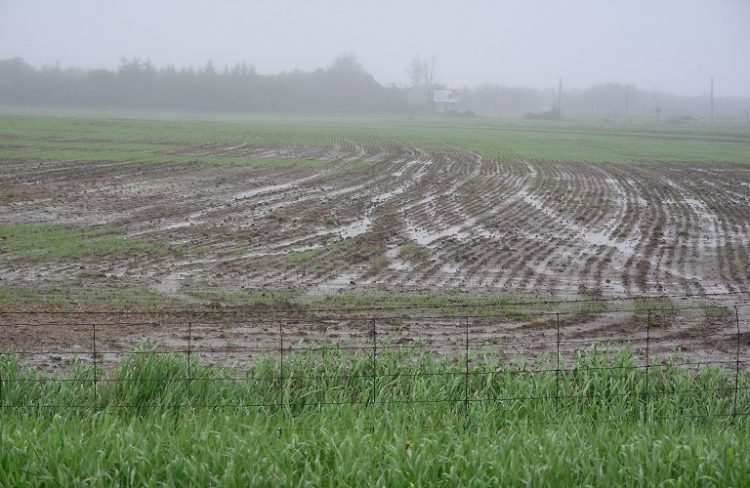 aithseis-paragwgwn-gia-apozhmiwseis