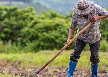 antidraseis-apo-tous-agrotes-gia-auksiseis