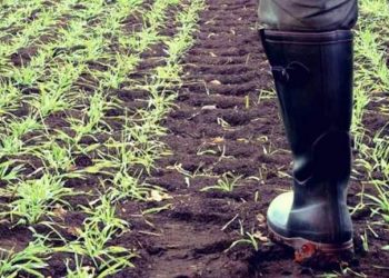 ews-ta-xristougenna-plhrwmes-epidothsewn