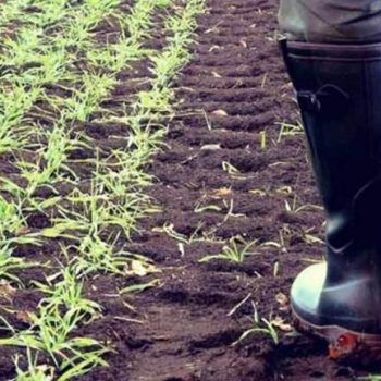 ews-ta-xristougenna-plhrwmes-epidothsewn