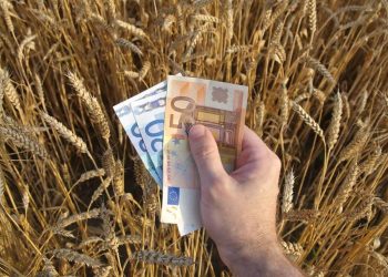 Μεγάλη πληρωμή ύψους 114 εκατ. ευρώ σε 29.736 δικαιούχους